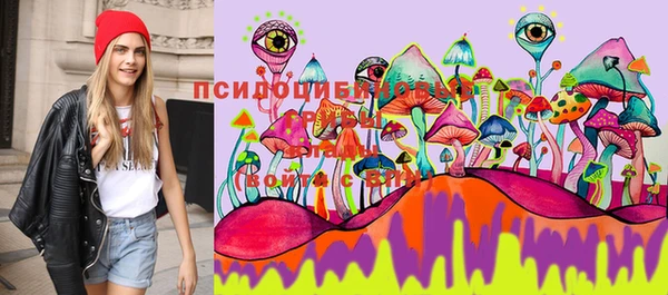 гашиш Зеленокумск