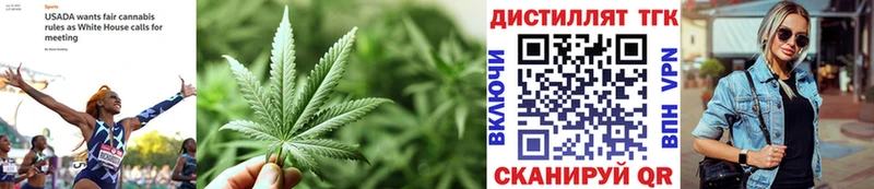 Купить где  Любань  Дистиллят ТГК Wax 
