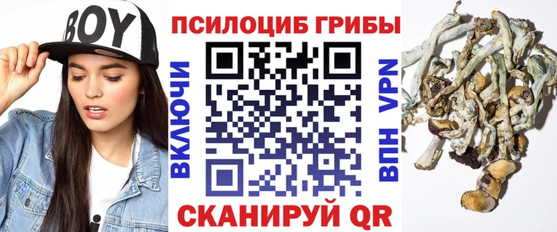 Купить закладки  Любань  Галлюциногенные грибы Psilocybe 